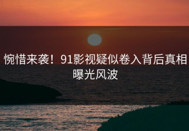 惋惜来袭！91影视疑似卷入背后真相曝光风波