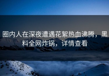 圈内人在深夜遭遇花絮热血沸腾，黑料全网炸锅，详情查看