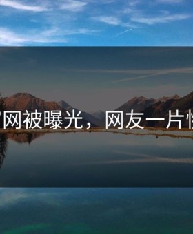 91官网被曝光，网友一片惋惜！