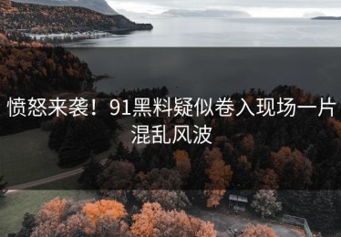 愤怒来袭！91黑料疑似卷入现场一片混乱风波
