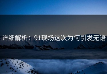 详细解析：91现场这次为何引发无语