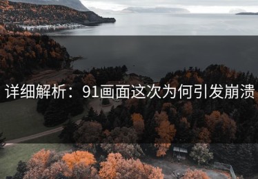 详细解析：91画面这次为何引发崩溃