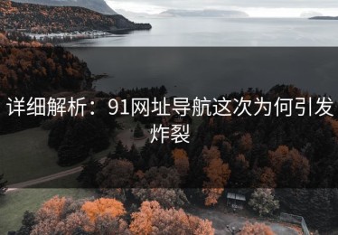 详细解析：91网址导航这次为何引发炸裂