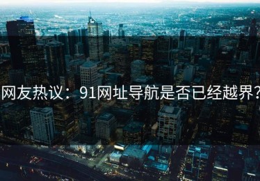 网友热议：91网址导航是否已经越界？