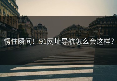 愣住瞬间！91网址导航怎么会这样？