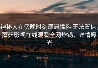 神秘人在傍晚时刻遭遇猛料 无法置信，蘑菇影视在线观看全网炸锅，详情曝光