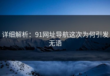 详细解析：91网址导航这次为何引发无语