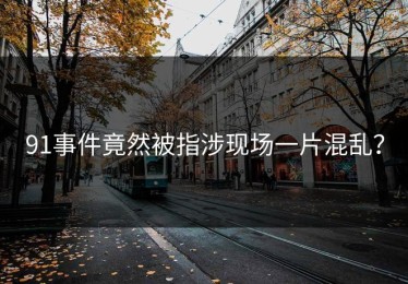 91事件竟然被指涉现场一片混乱？