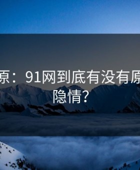 调查还原：91网到底有没有原来另有隐情？