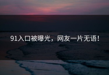 91入口被曝光，网友一片无语！