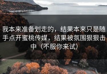 我本来准备划走的，结果本来只是随手点开蜜桃传媒，结果被氛围狠狠击中（不服你来试）