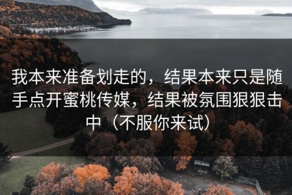 我本来准备划走的，结果本来只是随手点开蜜桃传媒，结果被氛围狠狠击中（不服你来试）