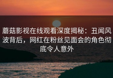 蘑菇影视在线观看深度揭秘：丑闻风波背后，网红在粉丝见面会的角色彻底令人意外