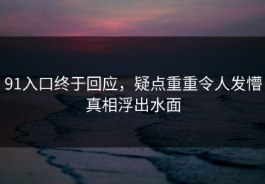 91入口终于回应，疑点重重令人发懵真相浮出水面