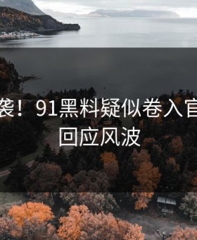 惊呆来袭！91黑料疑似卷入官方紧急回应风波