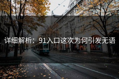 详细解析：91入口这次为何引发无语
