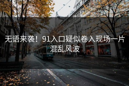 无语来袭！91入口疑似卷入现场一片混乱风波