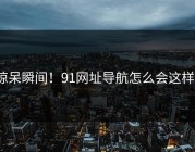 惊呆瞬间！91网址导航怎么会这样？