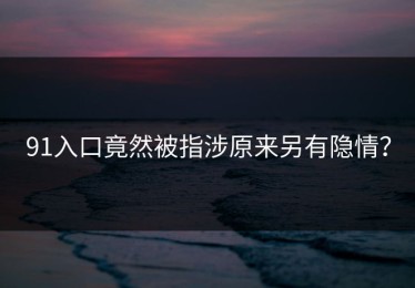 91入口竟然被指涉原来另有隐情？