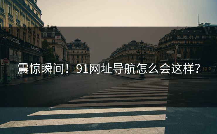 震惊瞬间！91网址导航怎么会这样？