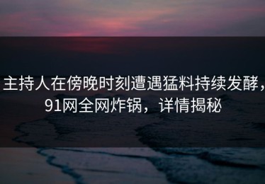 主持人在傍晚时刻遭遇猛料持续发酵，91网全网炸锅，详情揭秘