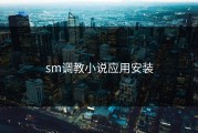 sm调教小说应用安装
