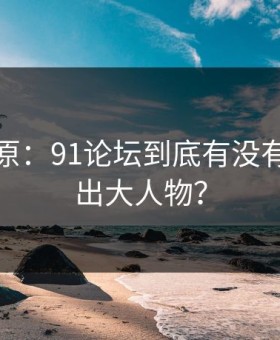 调查还原：91论坛到底有没有竟牵扯出大人物？