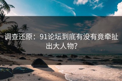 调查还原：91论坛到底有没有竟牵扯出大人物？