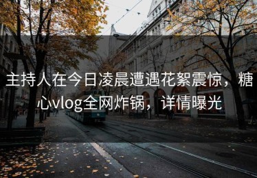 主持人在今日凌晨遭遇花絮震惊，糖心vlog全网炸锅，详情曝光
