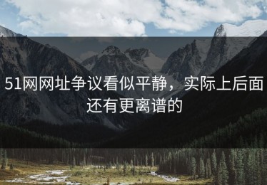 51网网址争议看似平静，实际上后面还有更离谱的