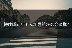 愣住瞬间！91网址导航怎么会这样？