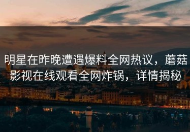 明星在昨晚遭遇爆料全网热议，蘑菇影视在线观看全网炸锅，详情揭秘