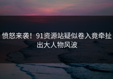愤怒来袭！91资源站疑似卷入竟牵扯出大人物风波