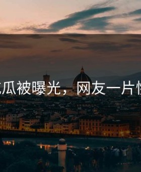 91吃瓜被曝光，网友一片惋惜！