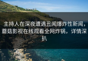 主持人在深夜遭遇丑闻爆炸性新闻，蘑菇影视在线观看全网炸锅，详情深扒