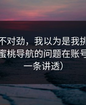 越想越不对劲，我以为是我挑剔，后来发现蜜桃导航的问题在账号权重（一条讲透）