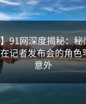 【震惊】91网深度揭秘：秘闻风波背后，大V在记者发布会的角色罕见令人意外