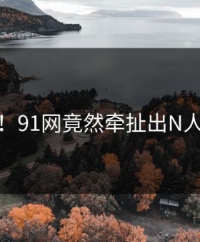 炸裂！91网竟然牵扯出N人黑料