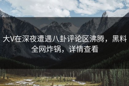 大V在深夜遭遇八卦评论区沸腾，黑料全网炸锅，详情查看