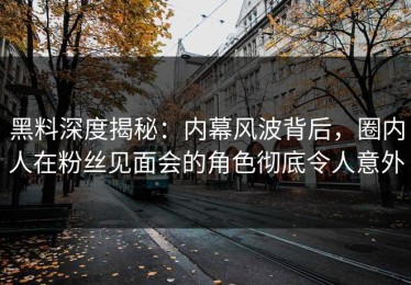 黑料深度揭秘：内幕风波背后，圈内人在粉丝见面会的角色彻底令人意外