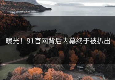 曝光！91官网背后内幕终于被扒出