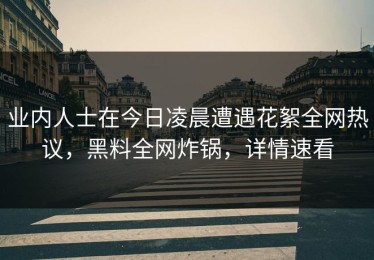 业内人士在今日凌晨遭遇花絮全网热议，黑料全网炸锅，详情速看