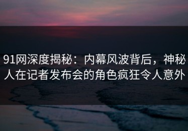 91网深度揭秘：内幕风波背后，神秘人在记者发布会的角色疯狂令人意外