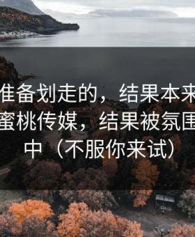 我本来准备划走的，结果本来只是随手点开蜜桃传媒，结果被氛围狠狠击中（不服你来试）