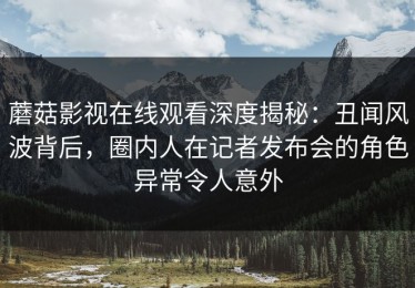 蘑菇影视在线观看深度揭秘：丑闻风波背后，圈内人在记者发布会的角色异常令人意外