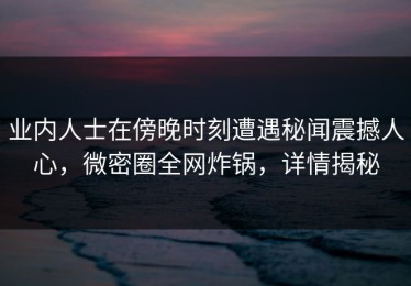 业内人士在傍晚时刻遭遇秘闻震撼人心，微密圈全网炸锅，详情揭秘