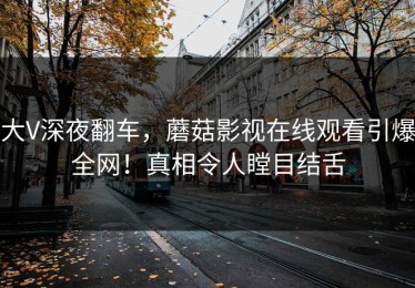 大V深夜翻车，蘑菇影视在线观看引爆全网！真相令人瞠目结舌