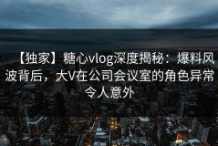 【独家】糖心vlog深度揭秘：爆料风波背后，大V在公司会议室的角色异常令人意外