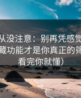 你可能从没注意：别再凭感觉刷蜜桃网：隐藏功能才是你真正的筛选器（看完你就懂）