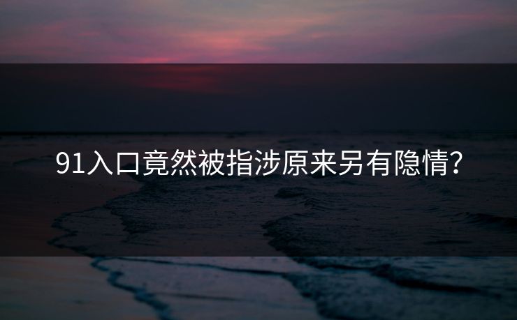 91入口竟然被指涉原来另有隐情？